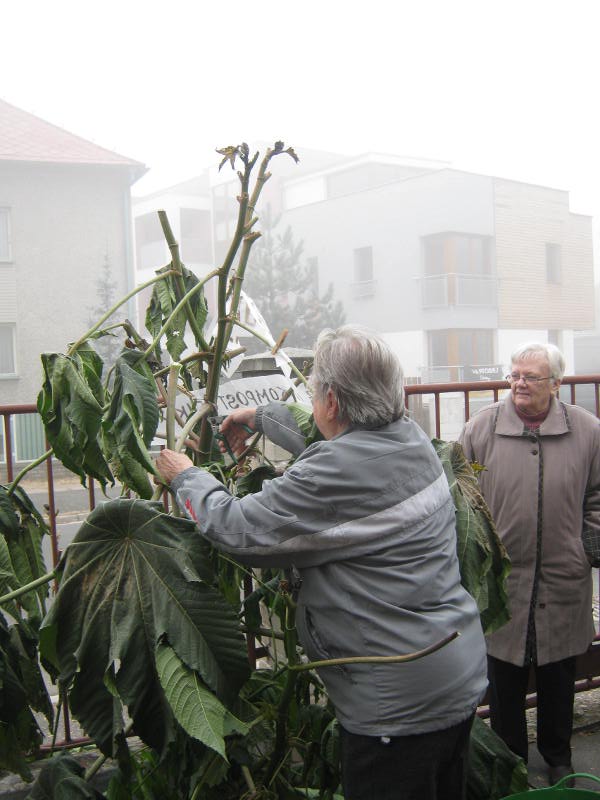 111 RicinJarka.JPG, 67kB